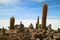 Giant cactus plants and cairn stones on Isla Incahuasi against the immense Uyuni Salt Flats, Bolivia, South America