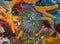 A Giant Caribbean Sea Anemone Condylactis gigantea