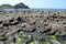 Giant Causeway view landscape with ocean and cliffs in Ireland