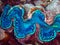 Giant clam, Tridacna