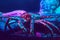 Giant crab lobster in blue red neon light under water in aquarium. Sea ocean marine wildlife animal with claws crawling on ground