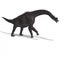 Giant dinosaur brachiosaurus With Clipping Path
