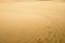 The Giant Dune looks like a desert. North New Zealand.