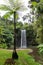 Giant fern and waterfall at Millaa Millaa falls, lush tropical rainforest surrounded by exhuberant green vegetation. Queensland