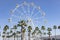 Giant Ferris Wheel Panoramic viewpoint between palm trees in Puerto Marina,