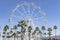 Giant Ferris Wheel Panoramic viewpoint between palm trees in Puerto Marina, Benalmadena, Malaga