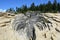 Giant Fissures, Taft Point, Yosemite National Park, California, USA.