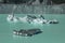 Giant floating icebergs on Tasman Glacier Lake in Aoraki Mount Cook National Park, South Island of New Zealand