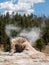 Giant Geyser in Yellowstone National Park