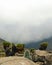 Giant groundsels against a mountain background, Mount Kenya