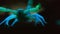 giant Hairy Scorpion at nigh under ultraviolet light-002