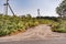 giant hogweed growing in the countryside by the road. Blue cloudless sky on background