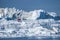 Giant Icebergs of Disko Bay