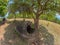 Giant Iron Age stone jars on wooded hill. Xiangkhoang Plateau, L