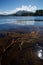 Giant kelp in calm blue waters of the Pacific with mountains of Nootka Island in distance