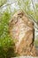 A giant landscaping  rock in a park. Chinese Translation: rhyme of willow and flowing stream