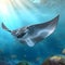 Giant manta ray fish wallpaper background