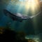 Giant manta ray fish wallpaper background