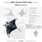 Giant Manta ray infographic