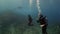 Giant manta rays swims over coral reef with SCUBA DIVERS watching