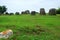 Giant megalithic stone urns at the Plain of Jars archaeological site in Loas.