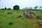 Giant megalithic stone urns at the Plain of Jars archaeological site in Loas.