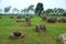 Giant megalithic stone urns at the Plain of Jars archaeological site in Loas.