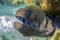 Giant moray eel - close up, Maldives