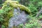 Giant Moss Covered Boulder in the Forest