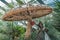 Giant mushroom effigy and bronze statue of girl in Flower Dome, Singapore