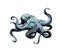 Giant Octopus