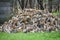 Giant Outdoor Wood Pile of Chopped Wood