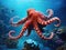 Giant pacific octopus