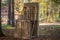 Giant pallet chair in the woodland