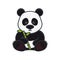 Giant Panda with bamboo stick isolated vector illustration