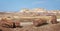 Giant petrified logs in the Crystal Forest of Petrified Forest National Park