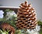 Giant Pine cone Christmas Display