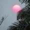 Giant pink sun behind heavy smoke