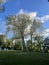 giant plane tree in the park stadtpark near the castle ennsegg