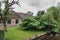 Giant plant growing in front of a house in Giethoorn