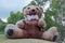The giant plush teddy bear sitting on a green meadow