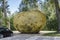 A giant potato weighing 75 tons stands in the parking lot of Ilzenberg Manor