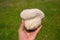 Giant puffball fungus growing in grassland