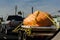 Giant pumpkin carried on a truck for halloween, usa