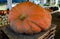 Giant pumpkin on display at fall rural farm market