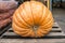 Giant Pumpkin at the Market