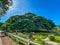 Giant Raintree chamchuri over 100 years old in Kanchanaburi, Thailand