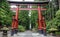 Giant red tori at hongu fuji sengen shrine