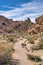 Giant rocks and tree yuccas at a desert landscape in Joshua Tree National Park