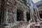 Giant roots at Ta Prohm